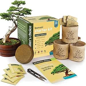 Bonsai Starter Kit - Gardening Easter Gift for Women & Men - Bonsai Tree Growing Garden Crafts Hobby Kits for Adults, Unique DIY Hobbies for Plant Lovers - Unusual Christmas Gifts Ideas : Patio, Lawn & Garden